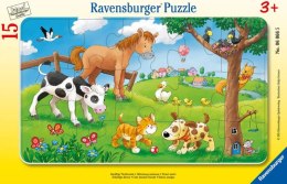 Ravensburger Puzzle Miłośnicy zwierząt 06066