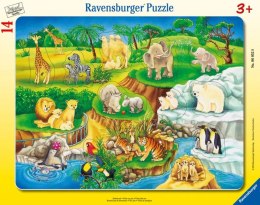 Ravensburger Puzzle Wizyta w ZOO 06052