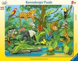 Ravensburger Zwierzęta Lasu Deszczowego 05140