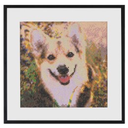 Diamentowy obraz - Pies, 30x30cm